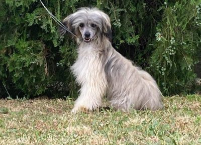 aa47ca29482b44c18f51441534be98231757457805