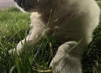 b0c32b11dfbc4f18906f59d0f64dfd6b1758315692