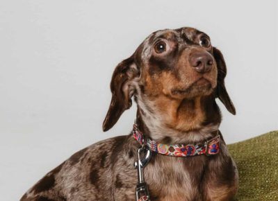 b74fd7d18b314a68b82fbd1ffc0e963a1757262280