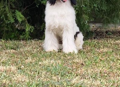 bd6a6b6963604c138309136c865c164e1757457806