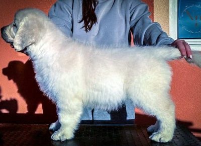 dffffa460c2a49dcb0de93c6769093a21758315691