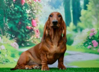 eba15f180e06447b9d69109e8a91a0d71757262280