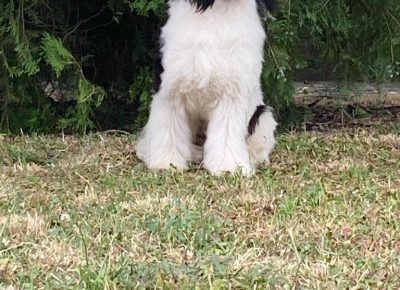 ece689c1ff4c4b62a284f80decdc07791757457804