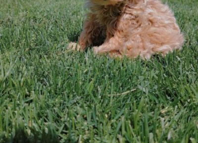 f242aff0499049d3b2ffcb7447df58ce658x10241111757448340