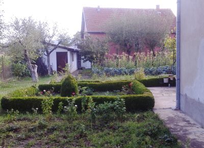 img2017082317260843115898411o1756788545