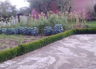 img2017082317271143115892861o1756788541