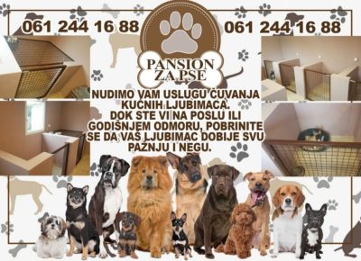 viberimage202411251054105201024x71911756753676