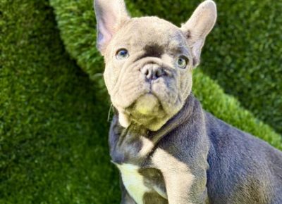 viberimage20250827172303318768x102411758234435