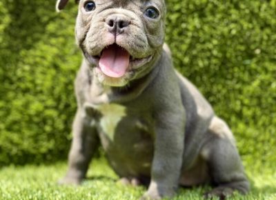 viberimage20250827172303683768x10241757106014