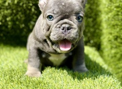 viberimage20250827172324936768x102411758234434