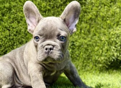 viberimage20250827172329730768x10241757106015