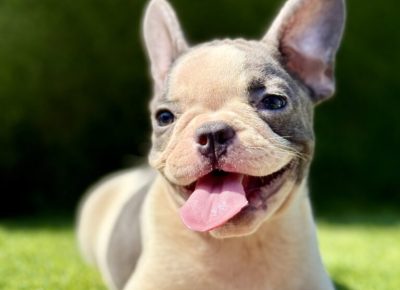 viberimage20250827172330136768x10241757106012