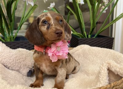 viberimage202508301205442541757761401