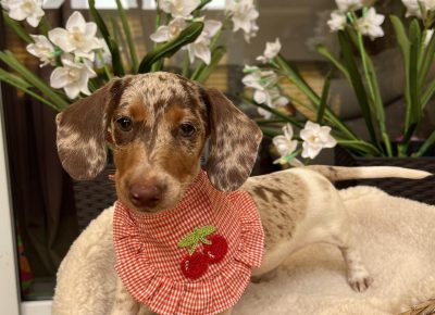 viberimage202508301206440461757761400