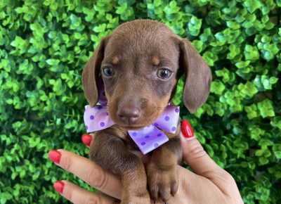 viberimage202508301208008461757761403