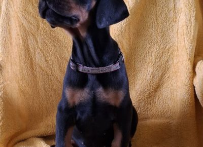 viberimage20250915132415862752x10241759257107