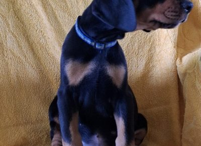 viberimage20250915132517514768x10241759257107