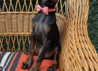 viberimage202509170350014321758566492