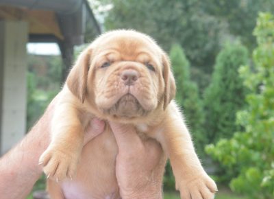 viberimage202509222130140211758659999