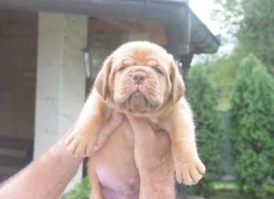 viberimage202509222130140901758659998