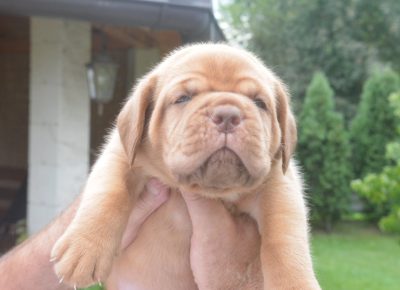 viberimage202509222130141421758660002