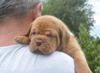 viberimage202509222130142931758660001