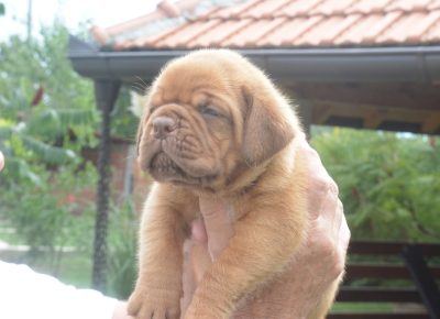 viberimage202509222130143461758660001