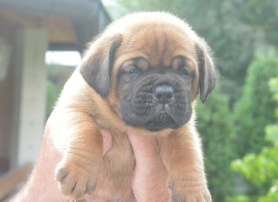 viberimage202509222130145291758660000