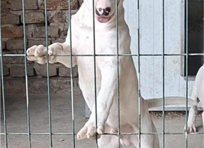 3ab8d25d7e254f54851447ec9a0cec2b1759866031