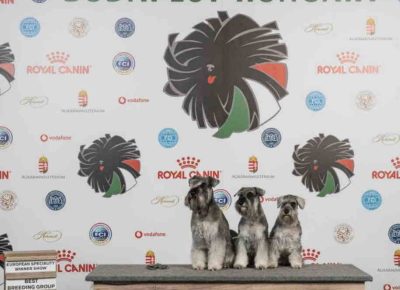 nauderded31761232042