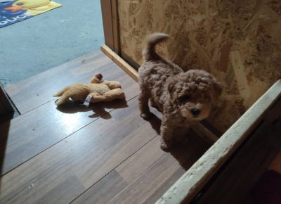 viberimage202509231128364321024x77511760990372