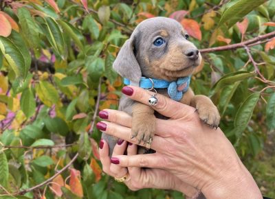 viberimage202510142235302571760643972