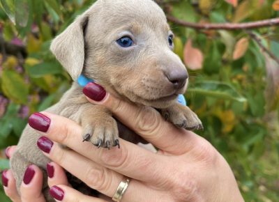 viberimage202510142237103591760643975