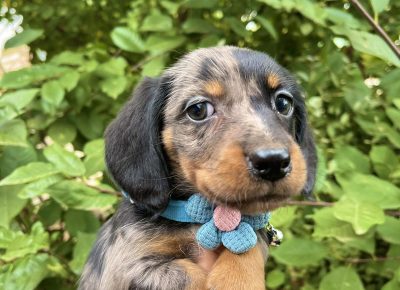 viberimage202510142237114431760643974