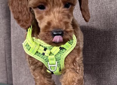 viberimage202510242334483621761381151