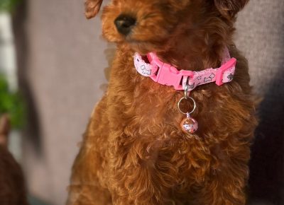 viberimage202510242349470581761381153