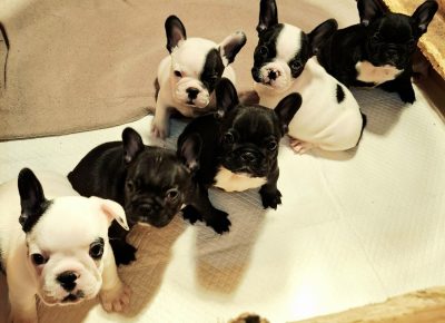 viberimage202510272144008881761949213