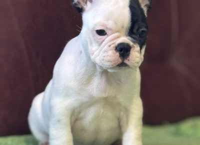 viberimage202510272144192401761949211