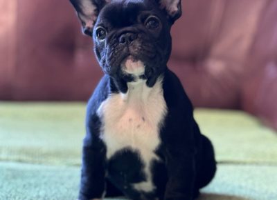 viberimage202510272144240151761949214