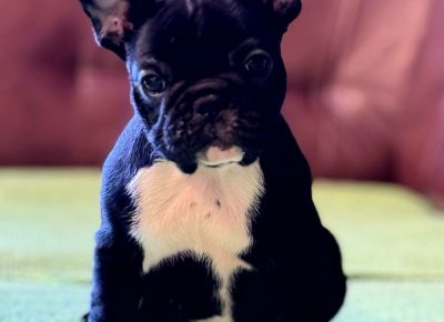 viberimage202510272144370061761949212