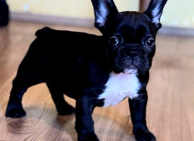 viberimage202510272144494371761949211