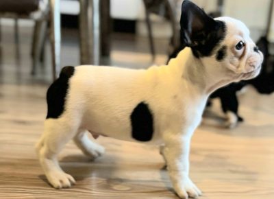 viberimage202510272145271811761949214