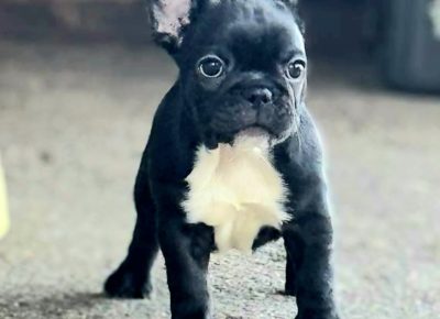 viberimage202510272145375301761949213