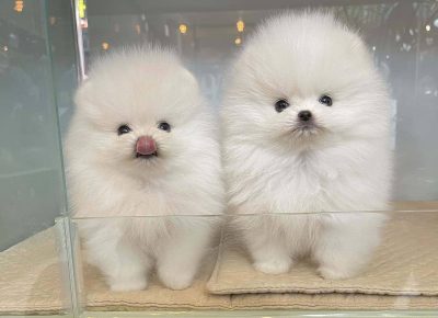 20211006063109Copy1762068702