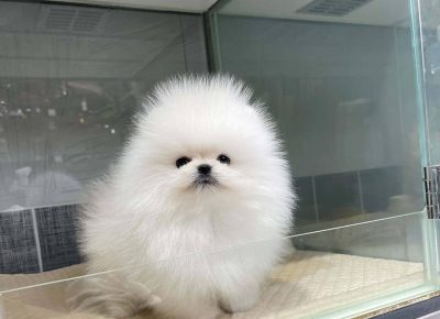 20211006063127Copy1762068702