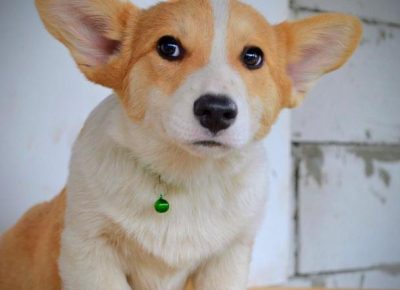 viberimage202510232005264831762020272