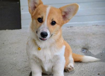 viberimage202510232005272851762020274