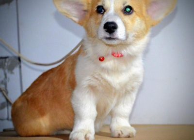 viberimage202510232005273961762020273