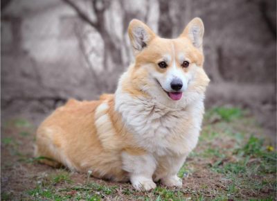 viberimage202510232005281381762020274