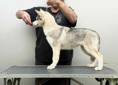 viberimage202510311638244221762370940